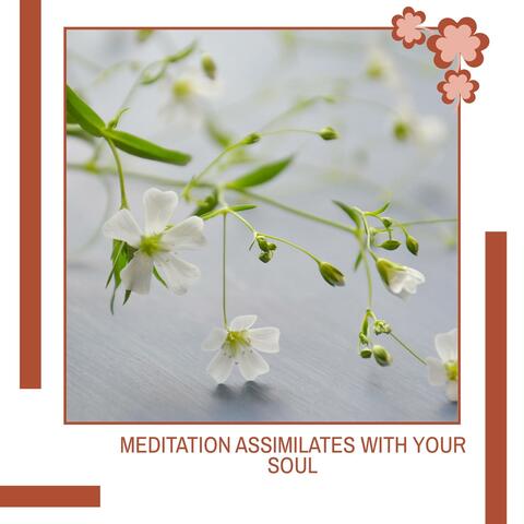 Meditation Assimilates With Your Soul