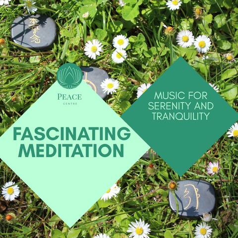 Fascinating Meditation - Music For Serenity And Tranquility