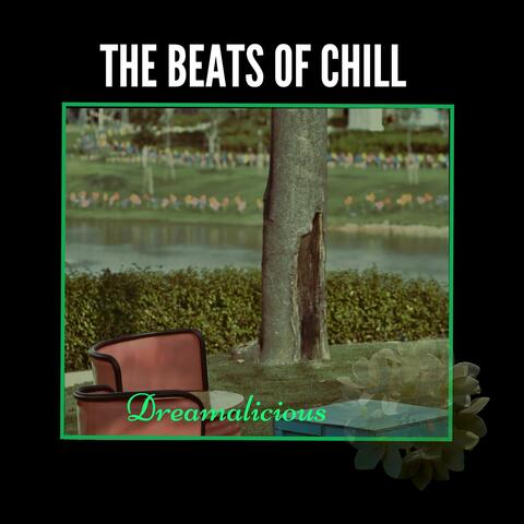 The Beats Of Chill - Weekends Picnic Tour