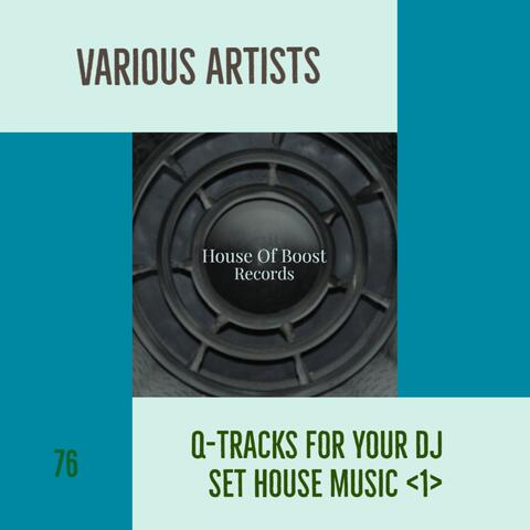 Q-TRACKS FOR YOUR DJ SET HOUSE MUSIC 1