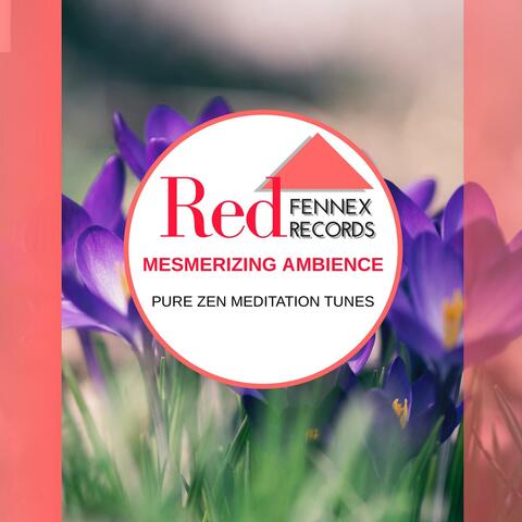 Mesmerizing Ambience - Pure Zen Meditation Tunes