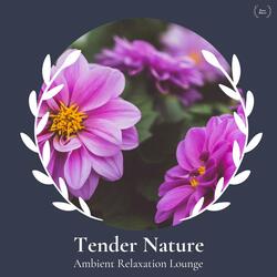 Enhance And Rejuvenate (Cosmic Music For Therapy)