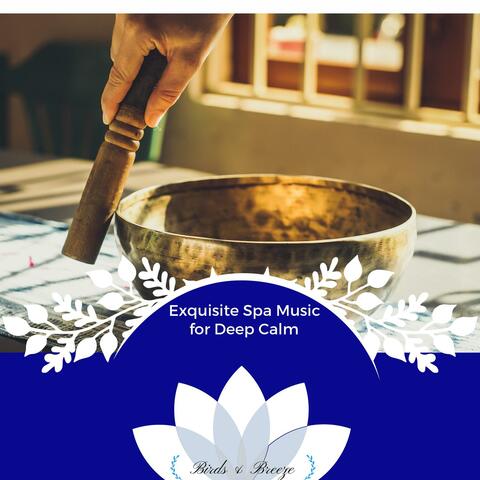 Exquisite Spa Music For Deep Calm