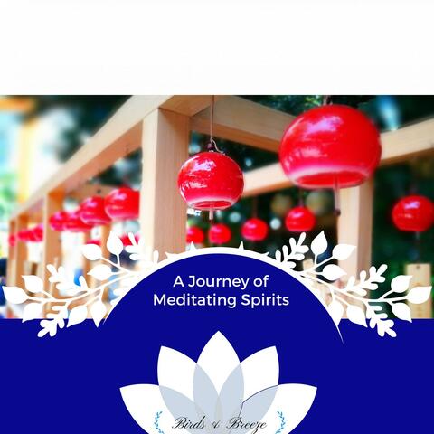 A Journey Of Meditating Spirits