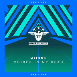 Voices In My Head