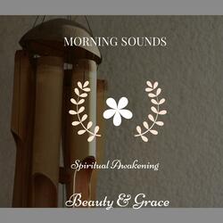 Harmonious Mindful Melodies