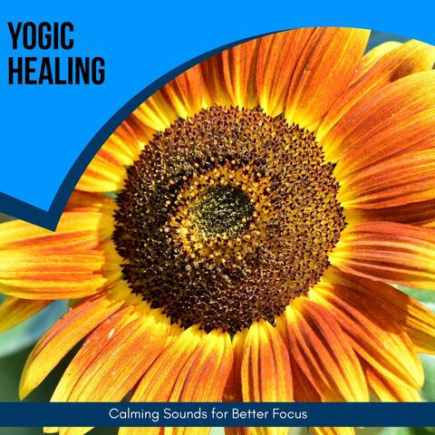 Yogic Healing - Calming Sounds For Better Focus