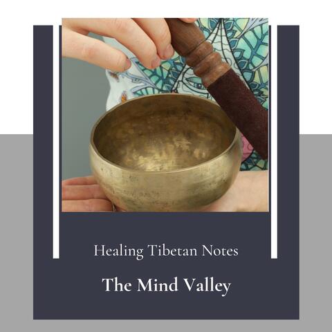 The Mind Valley (Healing Tibetan Notes)