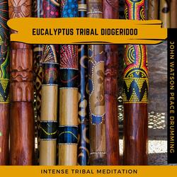 Summer Fest Anlaog Drumming Didgerdioo