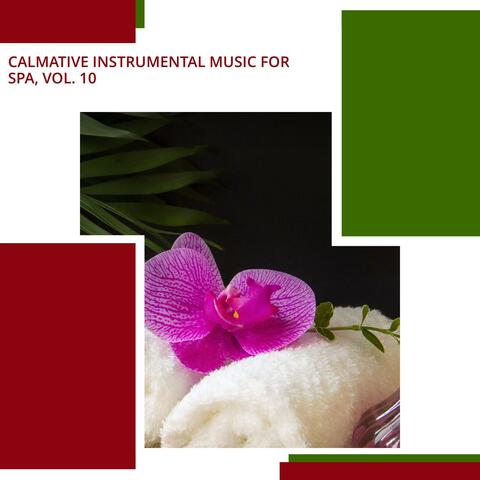 Calmative Instrumental Music For Spa, Vol. 10