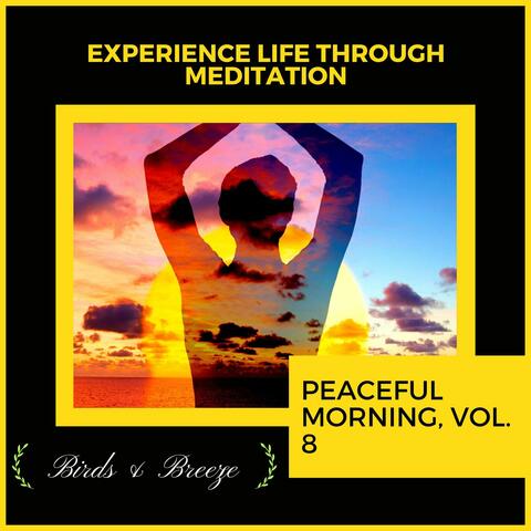 Experience Life Through Meditation - Peaceful Morning, Vol. 8