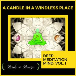 Melodic Joy (Ambient Sound)