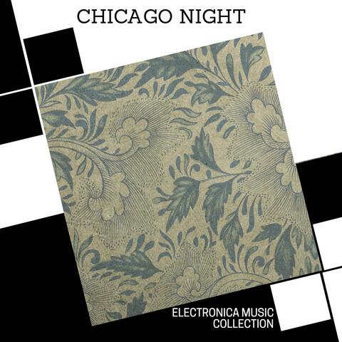 Chicago Night - Electronica Music Collection