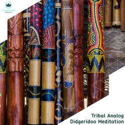 Future Tribes (Didgeridoo Electronica Music)