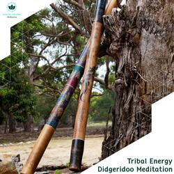 Eucalyptus Wood Didgeridoo (Orchestral Style)