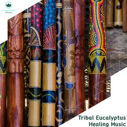 Aggressive Meditation With Didgeridoo