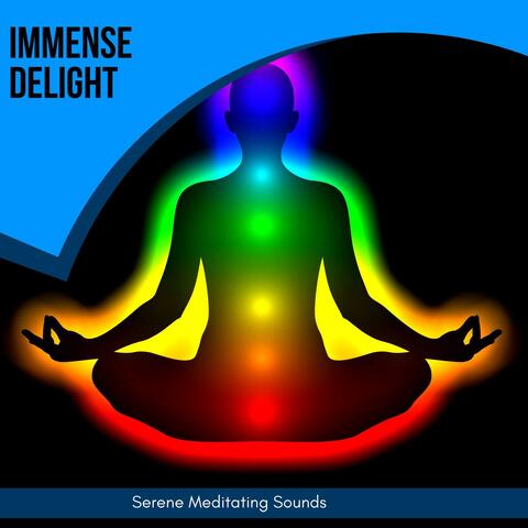 Immense Delight - Serene Meditating Sounds