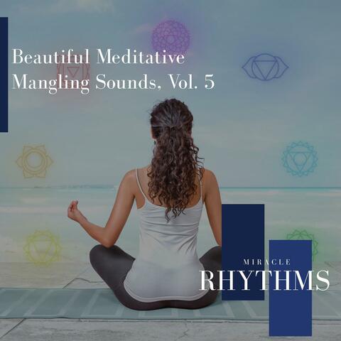 Beautiful Meditative Mangling Sounds, Vol. 5
