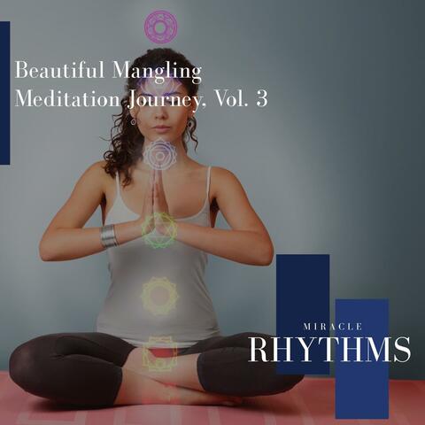 Beautiful Mangling Meditation Journey, Vol. 3