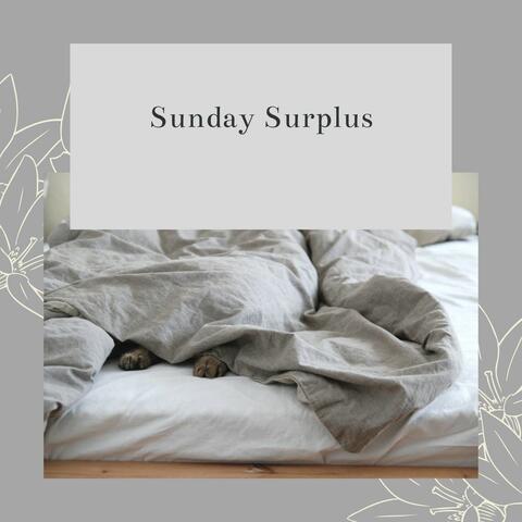 Sunday Surplus