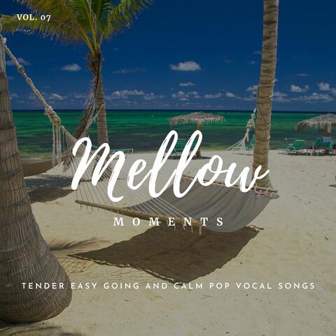Mellow Moments - Tender Easy Going And Calm Pop Vocal Songs, Vol. 07