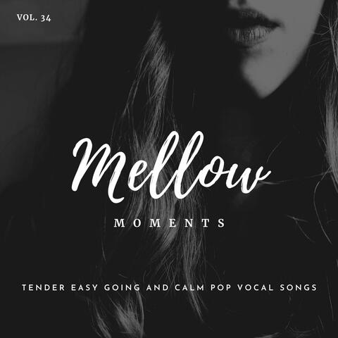 Mellow Moments - Tender Easy Going And Calm Pop Vocal Songs, Vol. 34