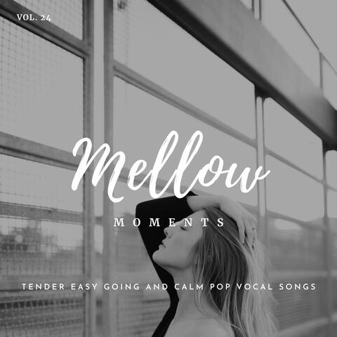 Mellow Moments - Tender Easy Going And Calm Pop Vocal Songs, Vol. 24