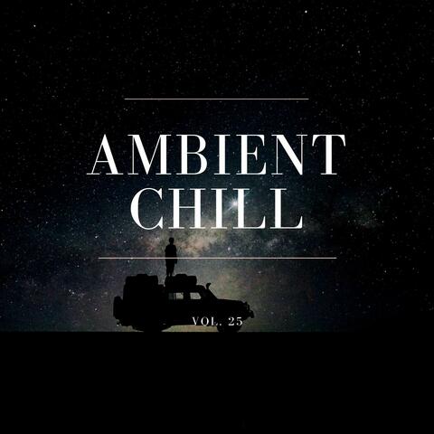 Ambient Chill, Vol. 25