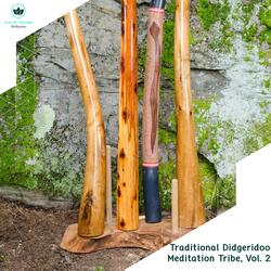 Ethnic Analog Drums Didgeridoo