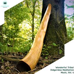 Mystic Sounds From Didgeridoo (Tribal Percussion)