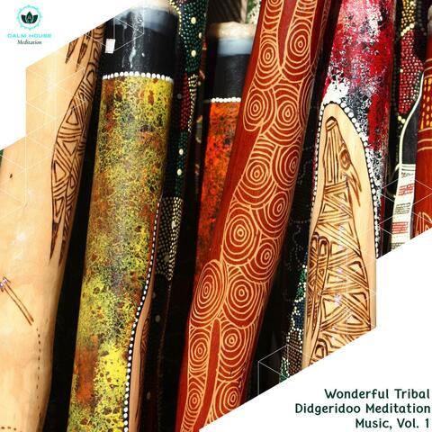 Wonderful Tribal Didgeridoo Meditation Music, Vol. 1