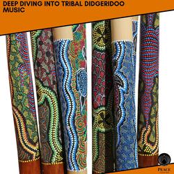 Tribal Orchestra (Didgeridoo Fusion)