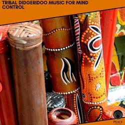 Psy Chill (Didgeridoo Electronica)