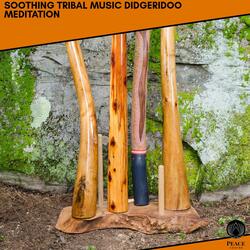 Mystic Sounds From Didgeridoo (Tribal Percussion)
