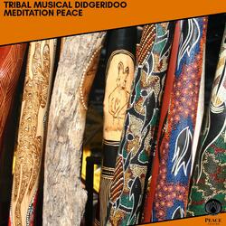 Red Native Australian Didg (No Drums)