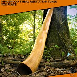 Aggressive Analog Didgeridoo Ancient Meditation