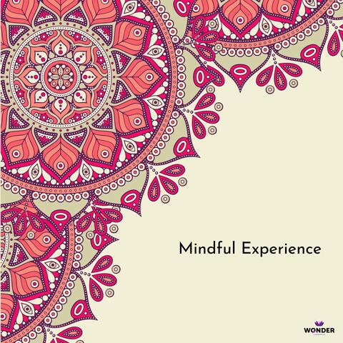 Mindful Experience