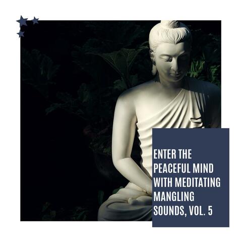 Enter The Peaceful Mind With Meditating Mangling Sounds, Vol. 5