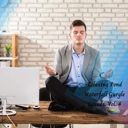 Silent Mind Meditation