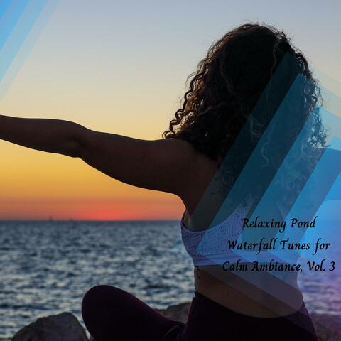 Relaxing Pond Waterfall Tunes For Calm Ambiance, Vol. 3