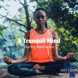 Divine Connection With Meditation