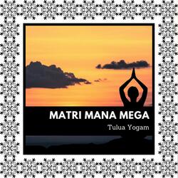 Wholesome Soul Healing Therapy