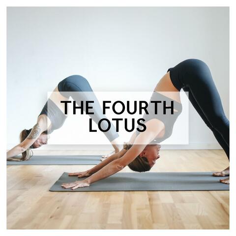 The Fourth Lotus