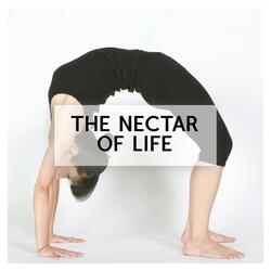 528 Hz The Deep Sea Desire