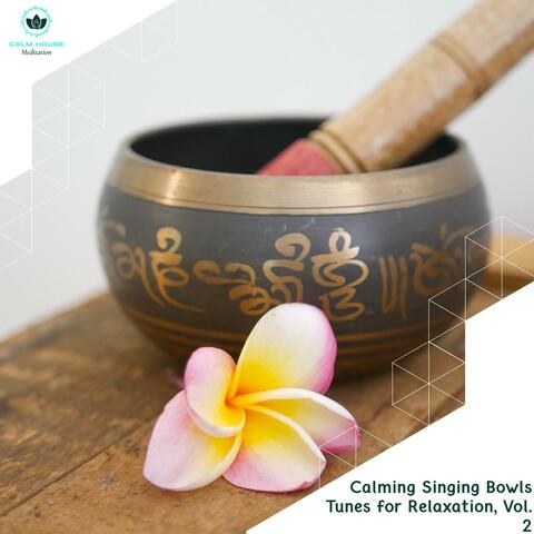 Calming Singing Bowls Tunes For Relaxation, Vol. 2