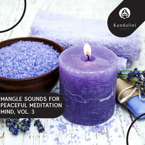 Mangle Sounds For Peaceful Meditation Mind, Vol. 3