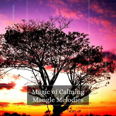 Magic Of Calming Mangle Melodies