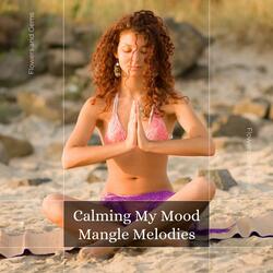 Alluring Ambient Mangling Sound
