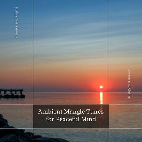 Ambient Mangle Tunes For Peaceful Mind