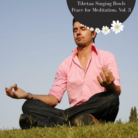 Tibetan Singing Bowls Peace For Meditation, Vol. 3